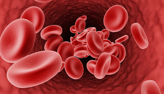 Characterization of Mutations in the Beta-Globin Gene of Thalassemia Patients and Carriers.