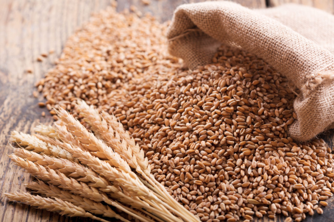 Wheat Genomics: Challenges and Alternative Strategies.